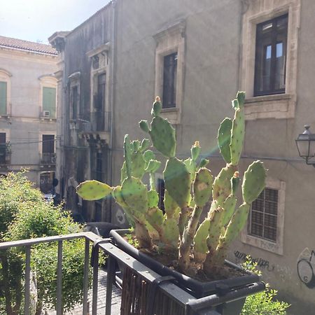Àita Domus Catânia Exterior foto